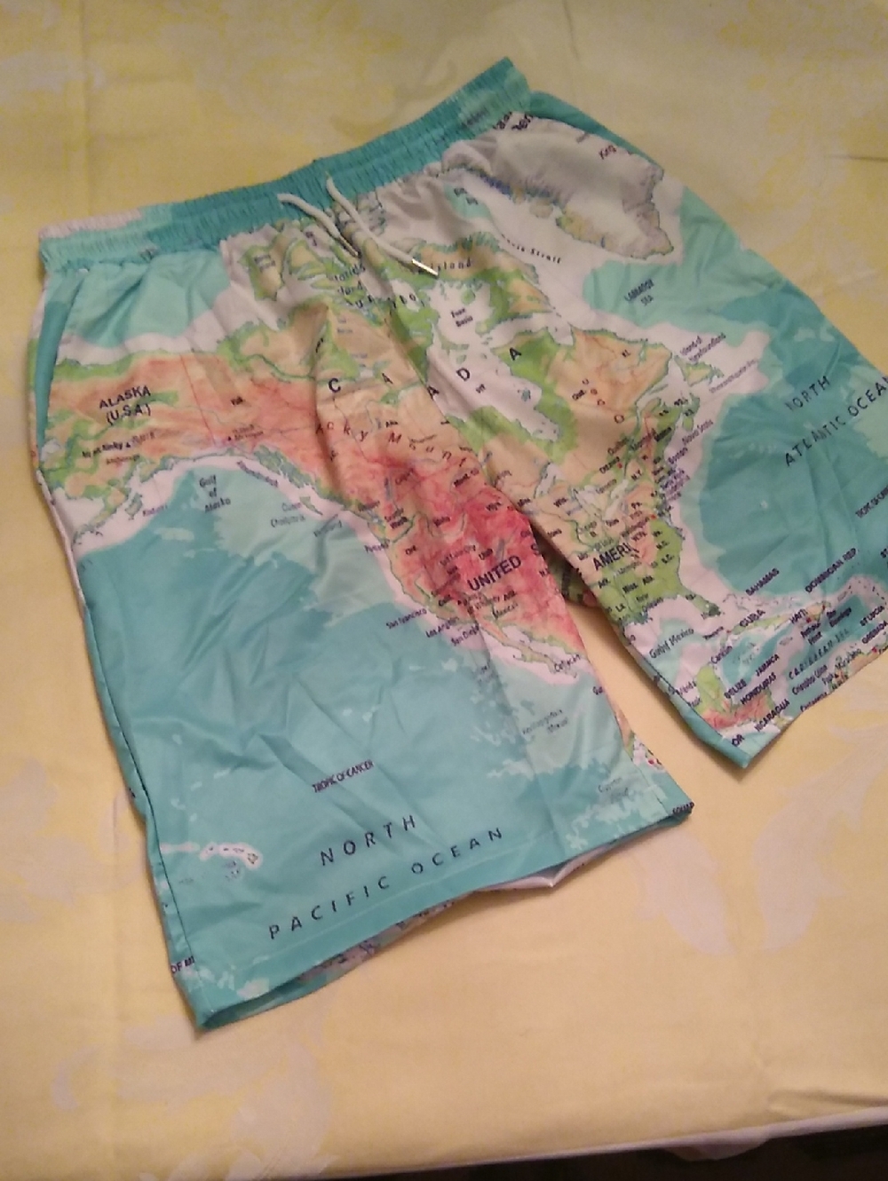 Aqua Map-Print Men's Swim Trunks
